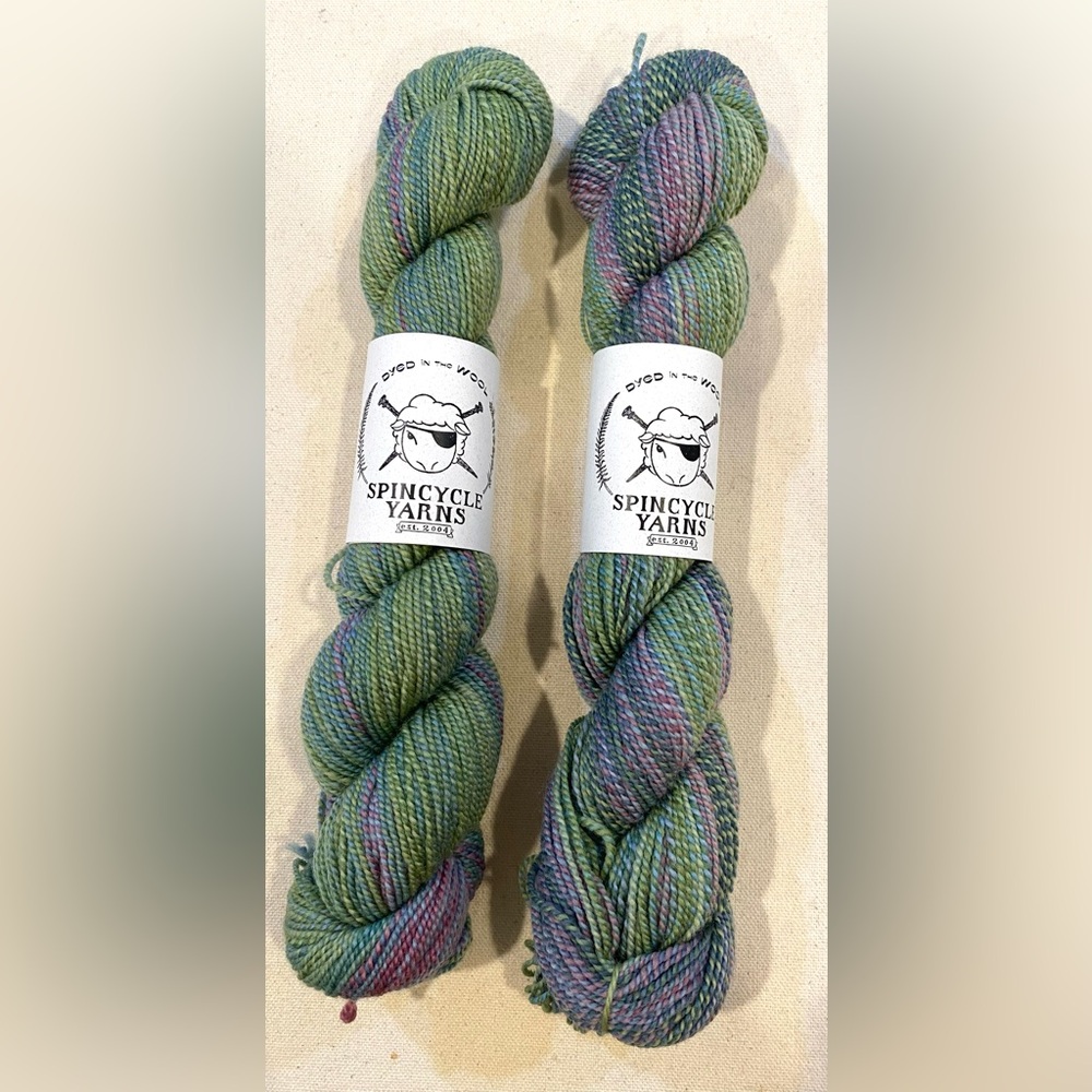 Spincycle Yarns Dyed in the Wool Water Witch  Colorway NEW